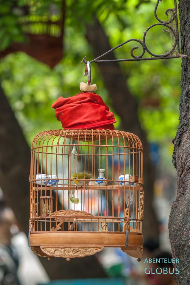 Vogelkäfig in der Altstadt von Hanoi