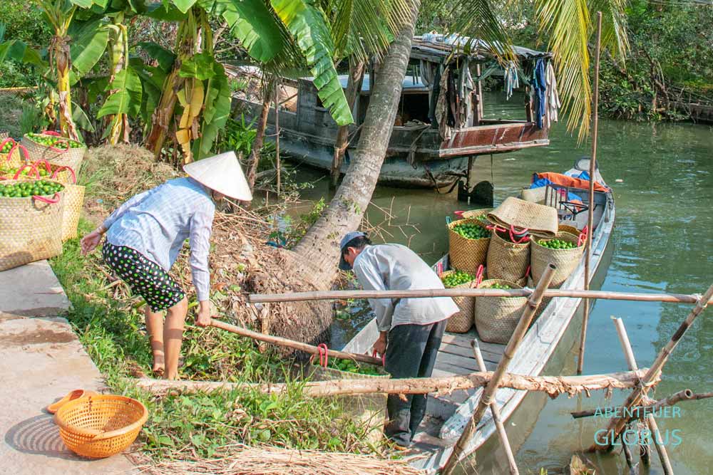Insel An Binh: Verladung von Limetten im Mekong Delta