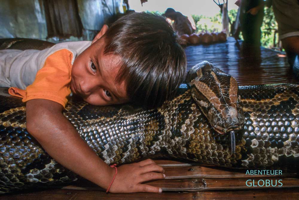 Sombath aus Kambodscha mit seinem Tigerpython