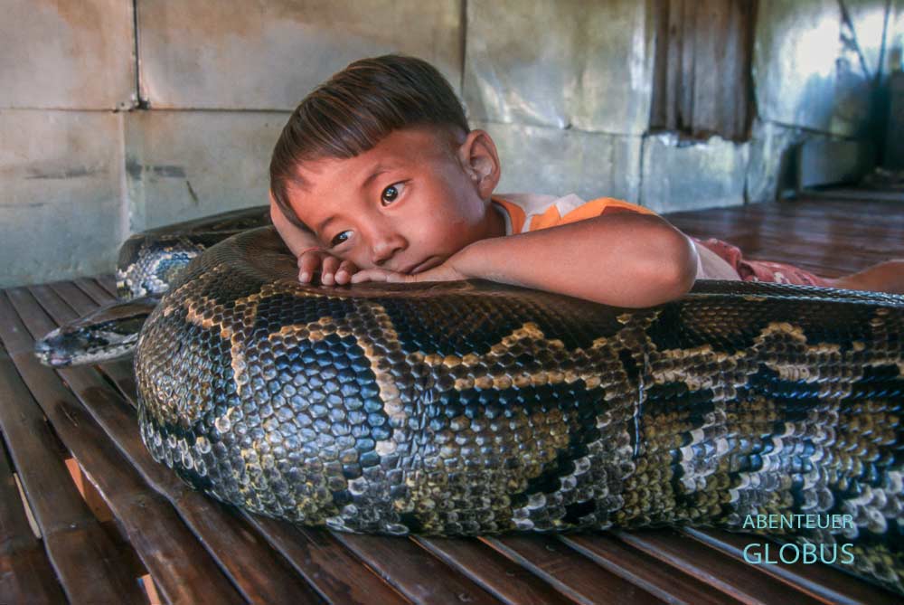 Sombath, auch Snake Boy genannt, mit dem Python