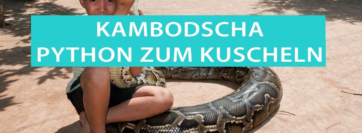 Kambodscha: Junge Sombath kuschelt mit seinem Tigerpython