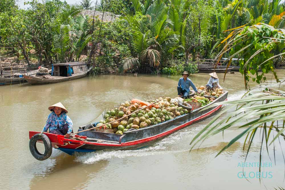 Boot mit Kokosnüssen auf dem Weg zum schwimmenden Markt in Cai Be