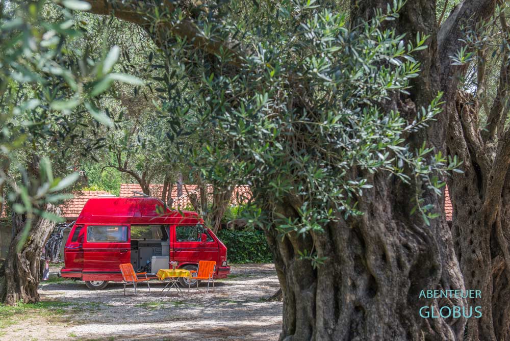Petrovac na Moru: Stellplätze unter Olivenbäumen im Campingplatz Maslina