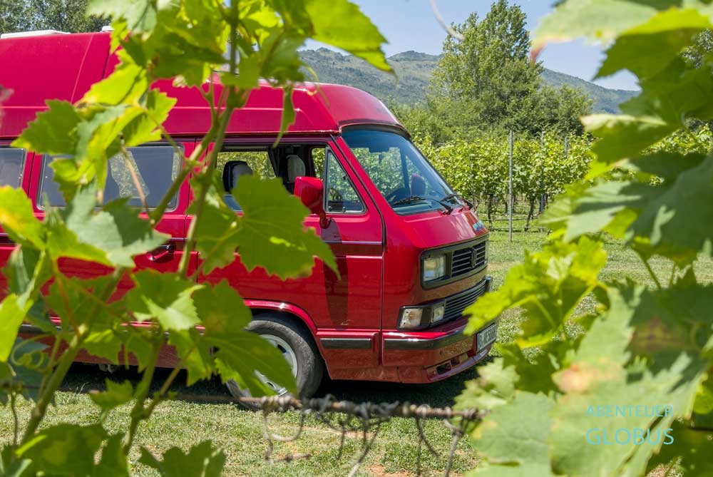 Bei Podgorica, Dorf Bandici: Campingplatz Purple Eye Estate Camp & Winery