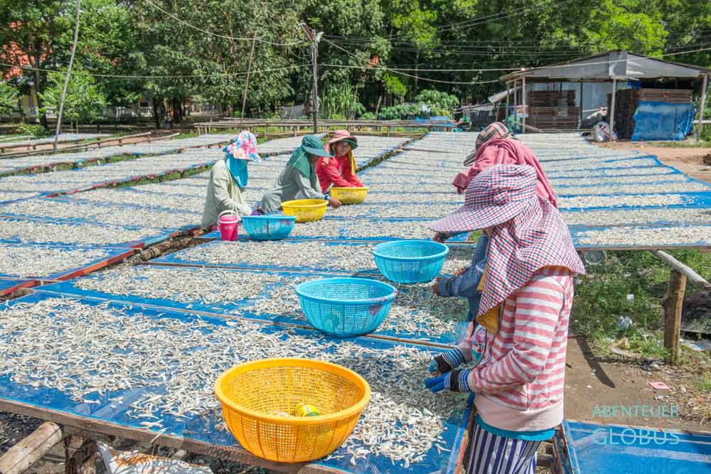 Beim Dorf Chao Lao: Fischtrocknung am Golf von Thailand