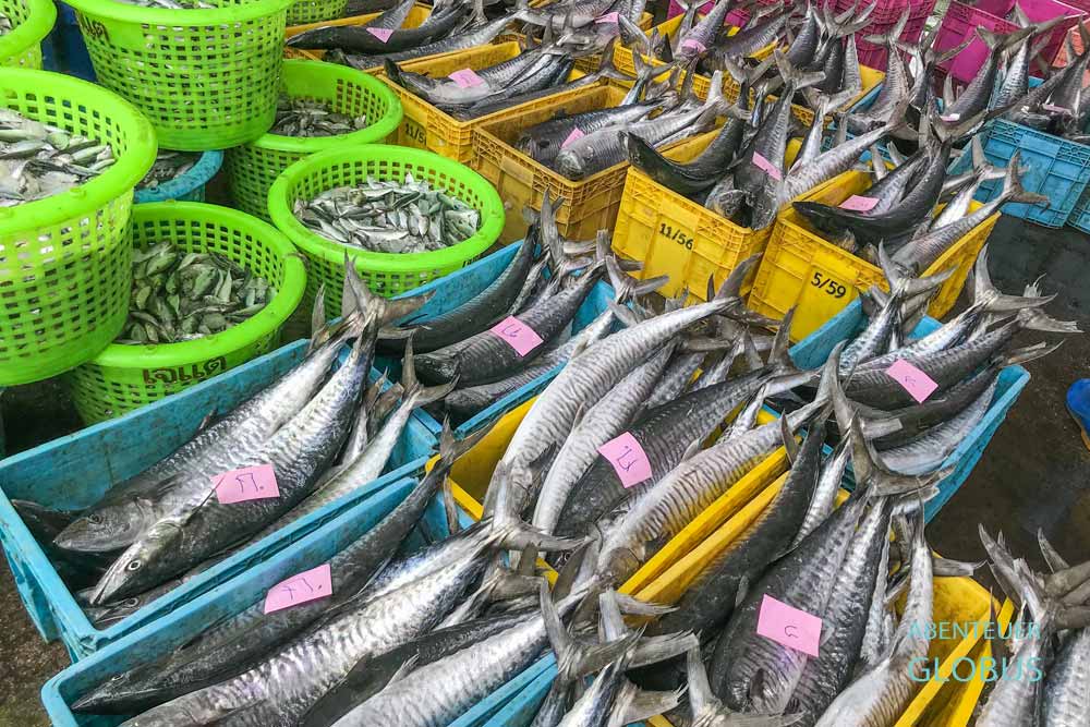 Fischereihafen im Dorf Klong Wan: Fische in Körben