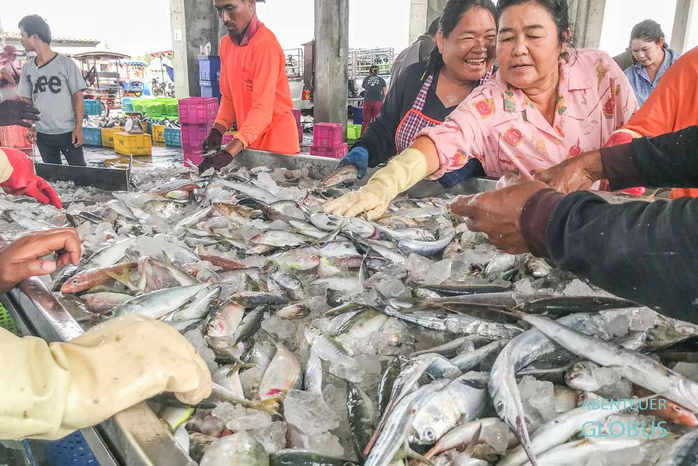 Bei Prachuap Khiri Khan: Fischereihafen im Dorf Klong Wan