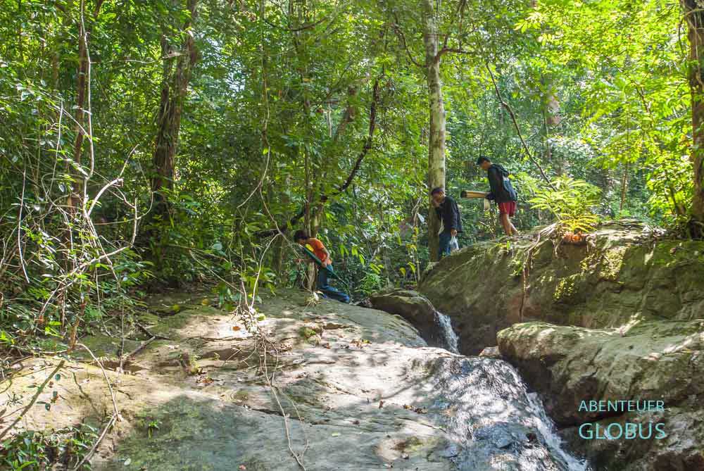 Koh Chang: Weg zum Khlong Phlu Wasserfall