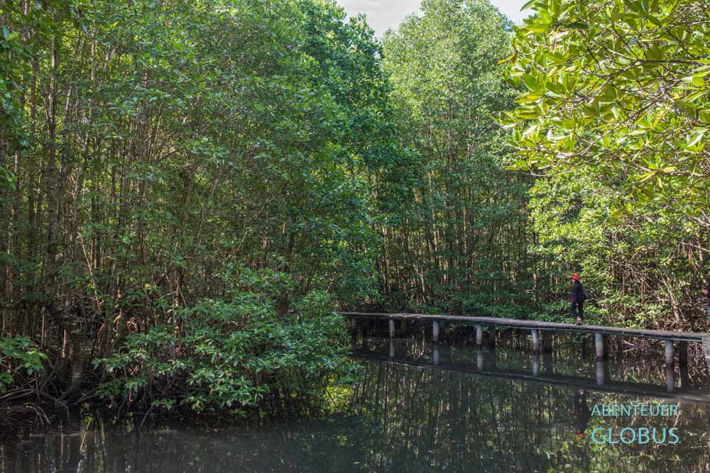 Beim Chao Lao Beach: Khung Kraben Bay Mangrove Forest