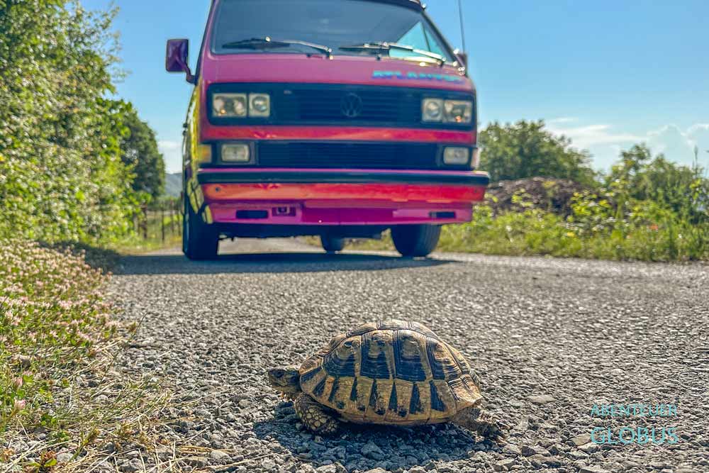 Anreise zur Lipa Höhle