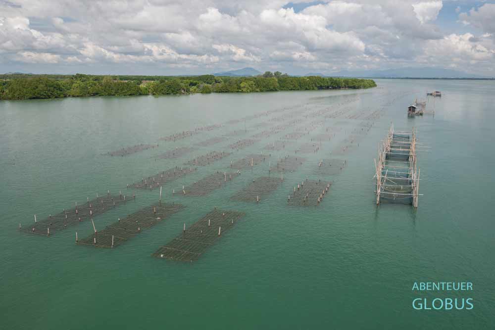 Bei Chanthaburi, Dorf Laem Sing: Blick von der Taksin Maharaj Brücke über den Chanthaburi-Fluss mit Muschelzucht