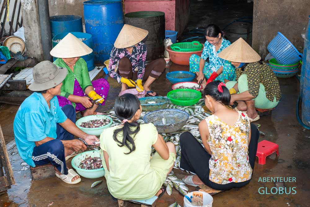 Fischmarkt My Tho: Vorbereitung zur Fischtrocknung