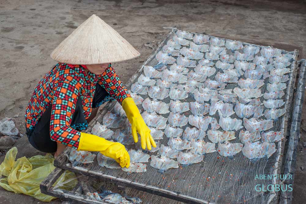 My Tho: Fischtrocknung