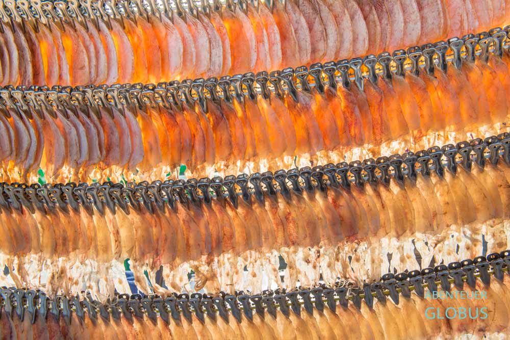 Prachuap Khiri Khan: getrocknete Tintenfische auf dem Nachtmarkt