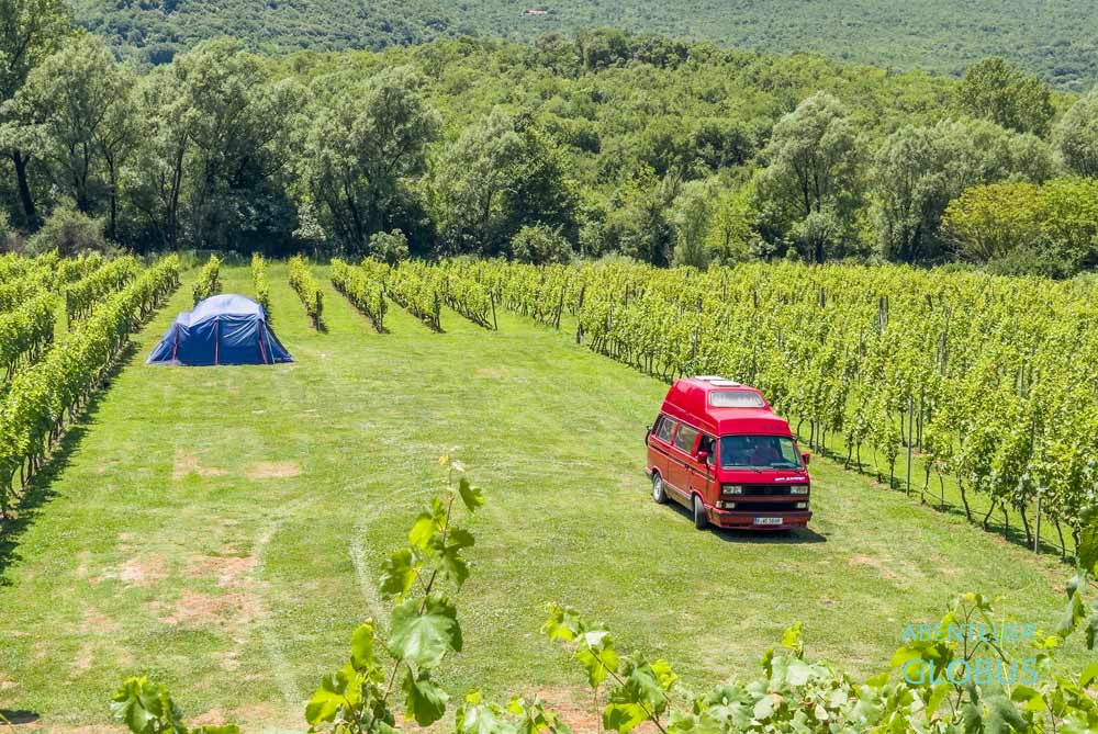 Bei Podgorica, Dorf Bandici: Campingplatz Purple Eye Estate Camp & Winery