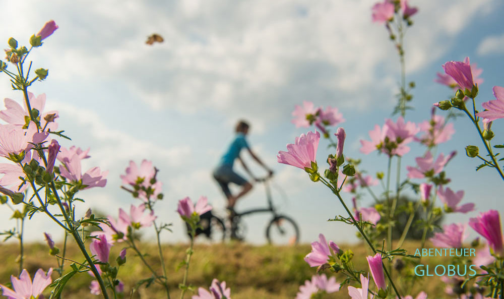 Oder-Neiße-Radweg durch den Nationalpark Unteres Odertal von Lunow zum Stolper Turm und nach Stützkow