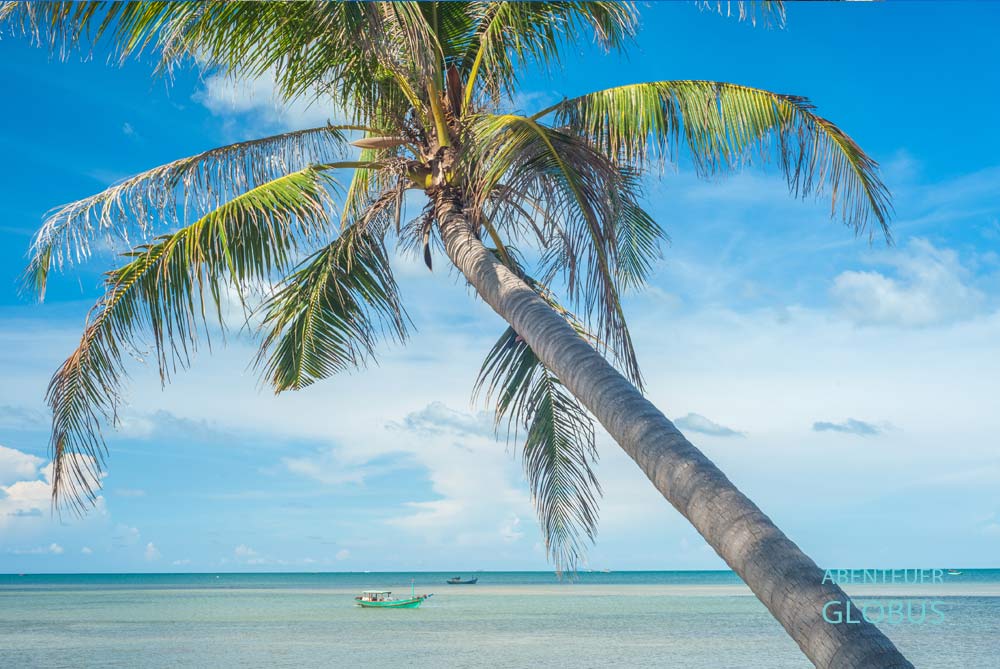 Palmen am Strand auf der Insel Koh Rong Samloem in Kambodscha