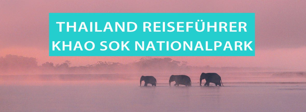 Khao Sok Nationalpark: Elefanten am Cheow Lan Lake