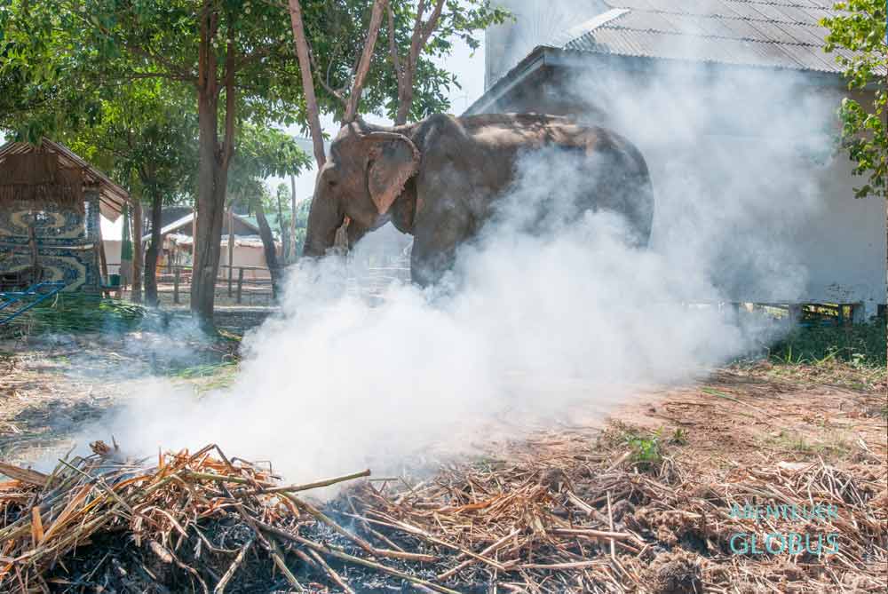 Rauchsaison in Thailand: Tipps für die Burning Season