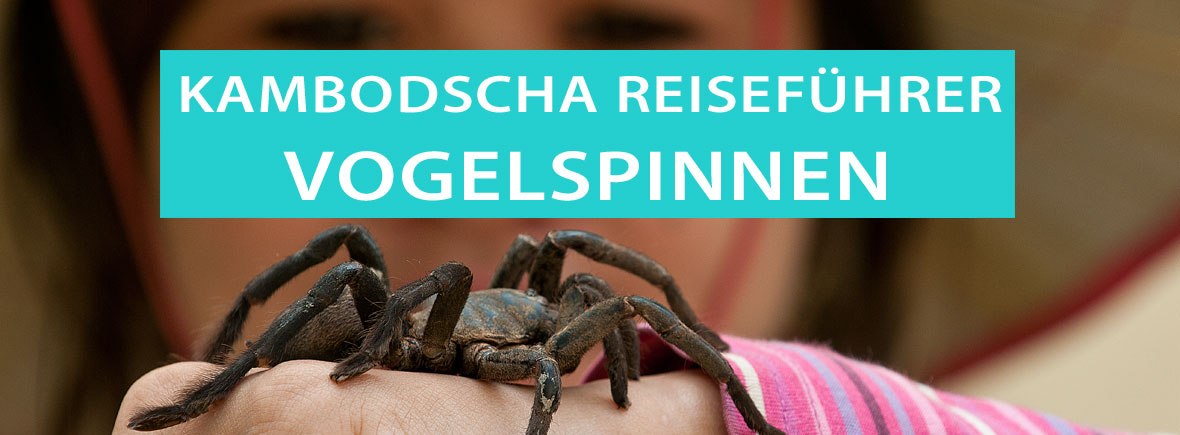 Schwarze frittierte Vogelspinnen als Snack in Kambodscha