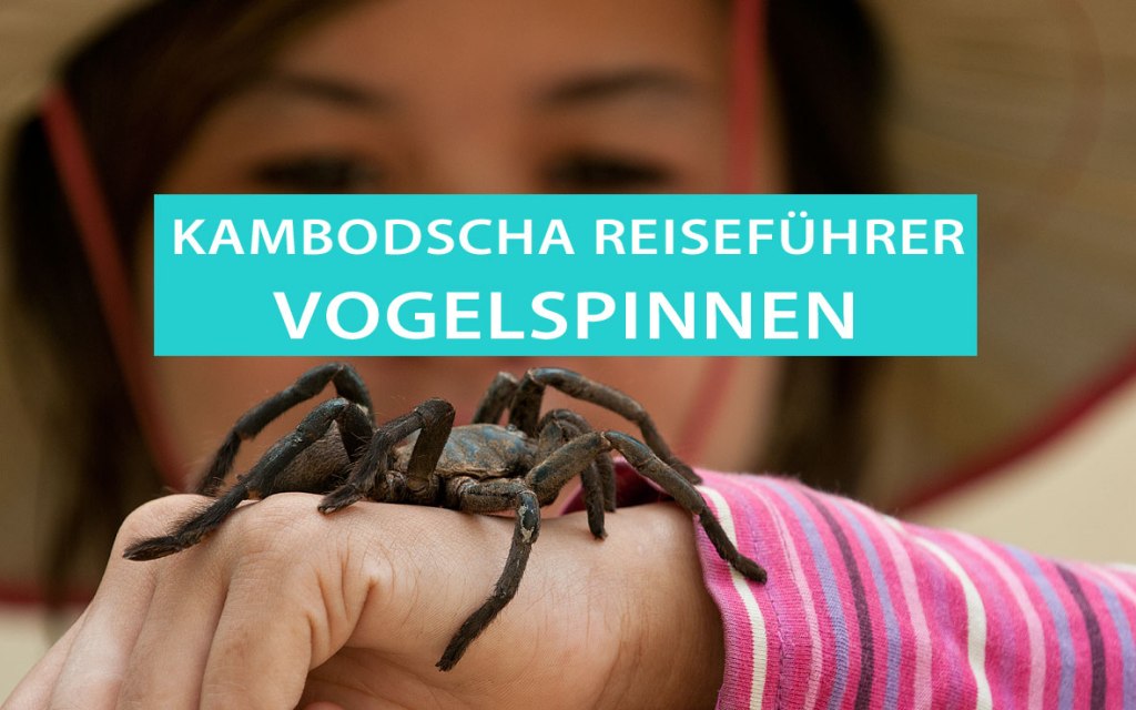 Schwarze frittierte Vogelspinnen: Kambodschas beliebter Snack