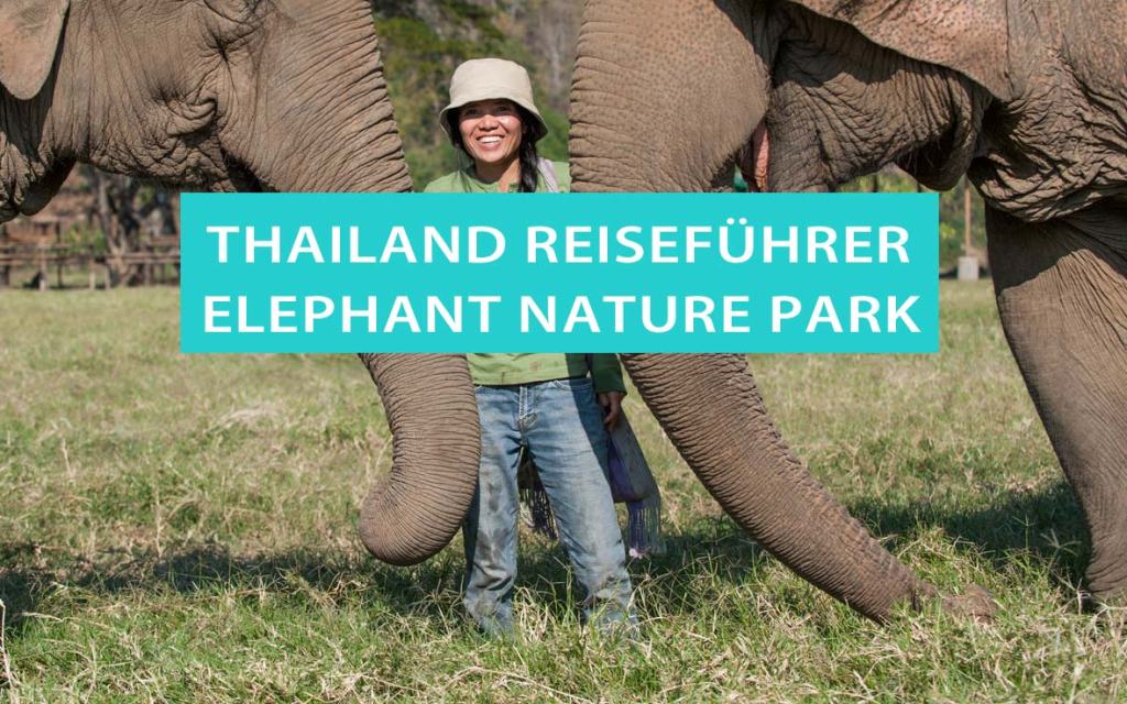 Tipps für Thailand: Elephant Nature Park Chiang Mai von Elefantenretterin Sangduen Lek Chailert