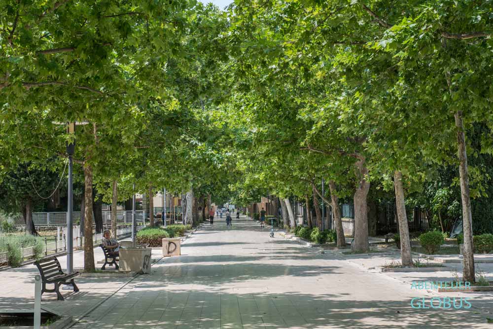 Plantanenallee am Zrinjevac-Park