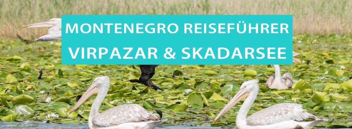 Virpazar am Skutarisee: Tipps, Bootstouren und Ausflüge