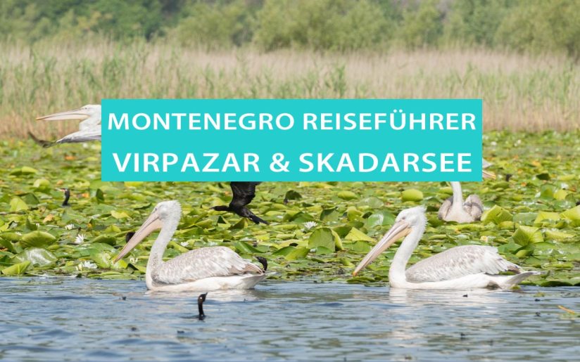 Virpazar am Skutarisee: Tipps, Bootstouren und Ausflüge