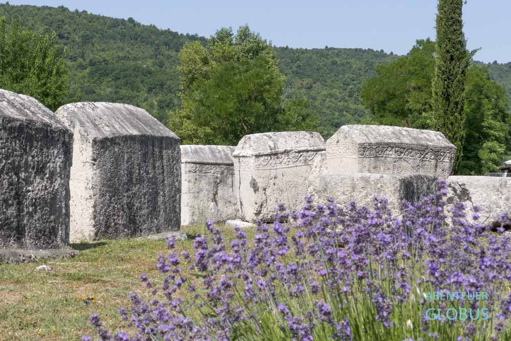 Sehenswürdigkeit und UNESCO-Weltkulturerbe bei Stolac: Grabstätte Nekropola Radimlja mit Stecci, Grabsteine der Bogomilen