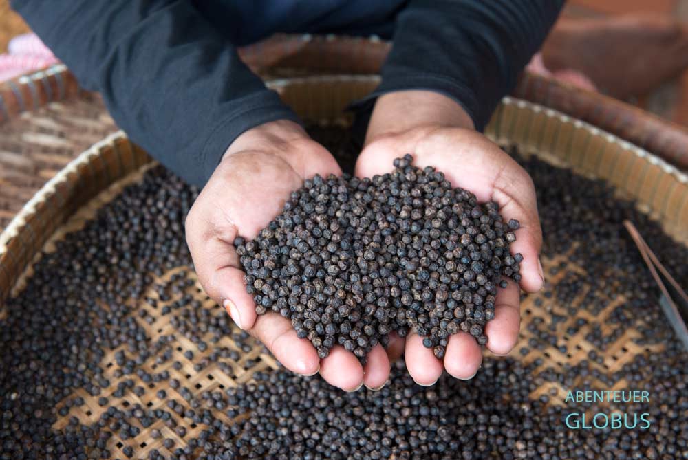 Pfefferkörner für den Export