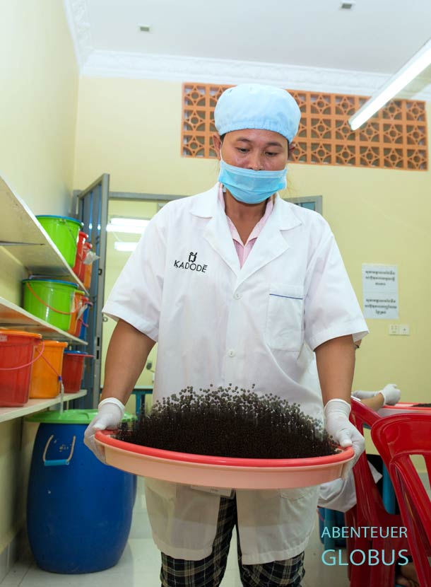 Vor der Sortierung wird der Pfeffer gründlich entstaubt.