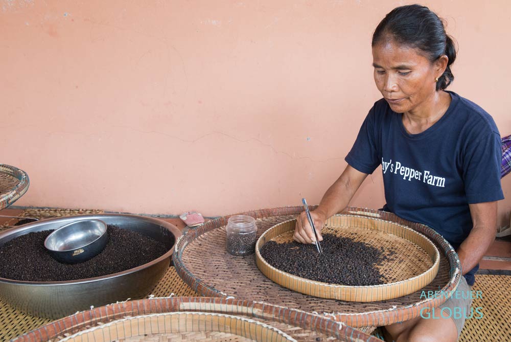 Eine Frau sortiert schwarze Pfefferkörner in Sothys Pepper Farm.