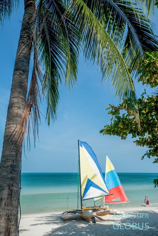 Boote und Palmen am Chaweng Beach