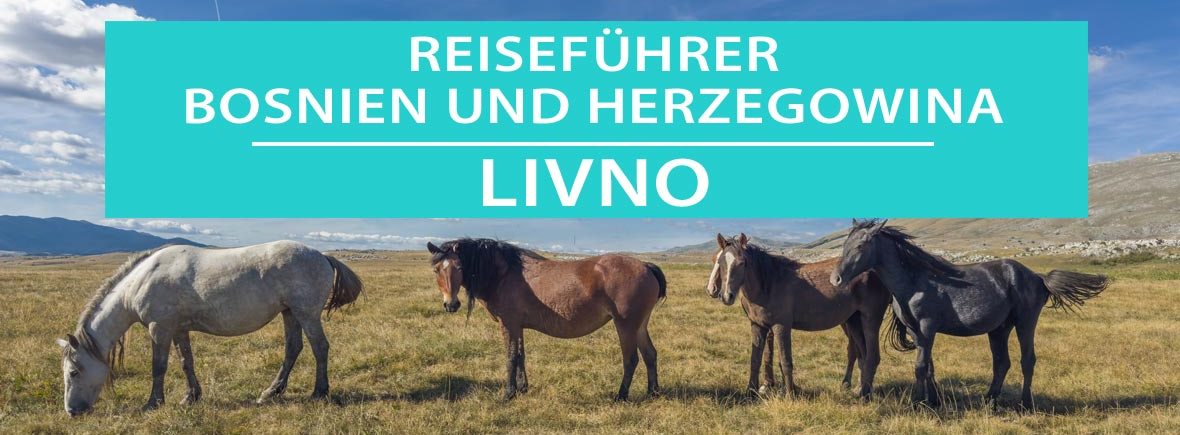 Livno: Wildpferde und Sehenswürdigkeiten