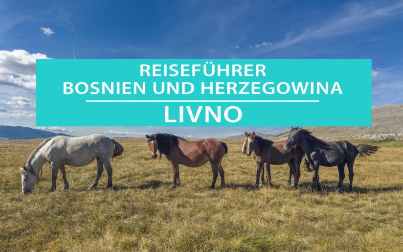 Livno: Wildpferde und Sehenswürdigkeiten