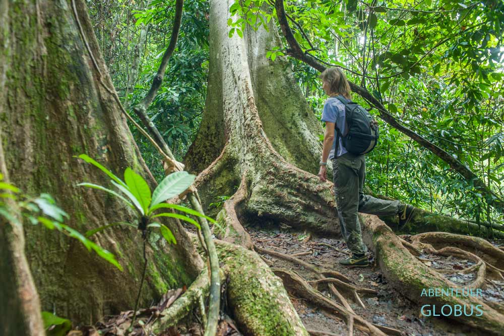 Wanderung durch den Erawan Nationalpark