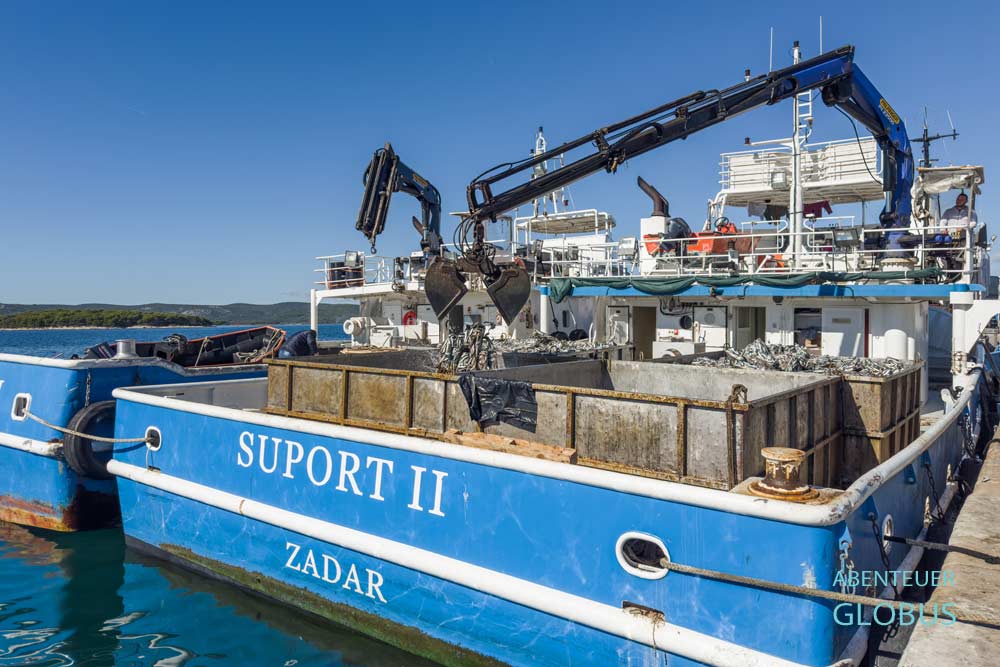 Fangschiffe der Fischereiflotte im Hafen von Biograd na Moru in Kroatien