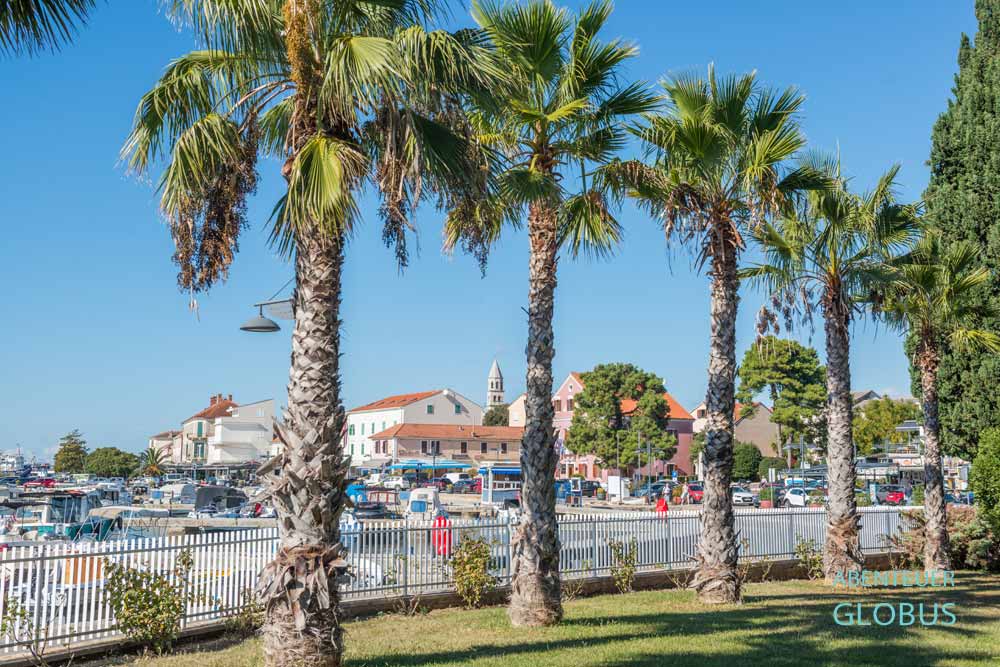 Uferpromenade mit Palmen und Blick zur Altstadt von Biograd na Moru