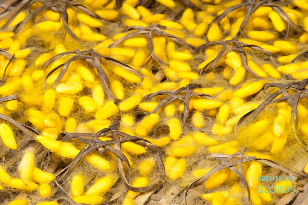 Gelbe Seidenkokons in der Ausstellung des Jim Thompson House Museum in Bangkok