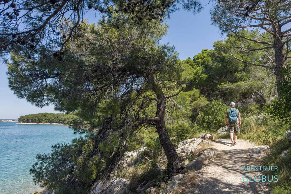Wanderer auf dem Küstenweg Pakostane - Drage im Kiefernwald