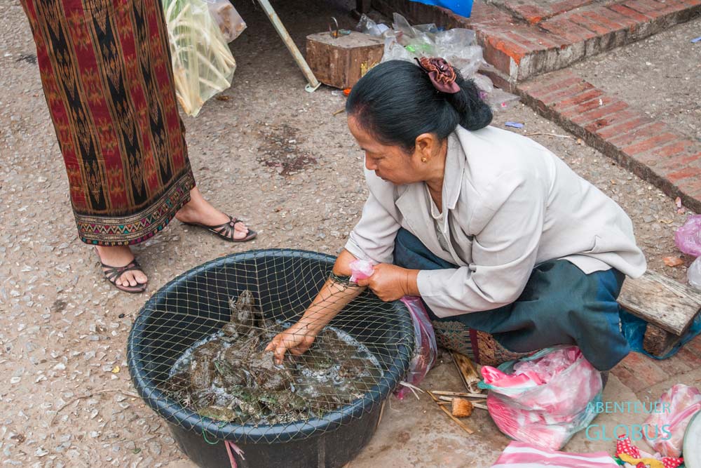 Eine Frau verkauft Frösche auf dem Morgenmarkt von Nong Khiaw.
