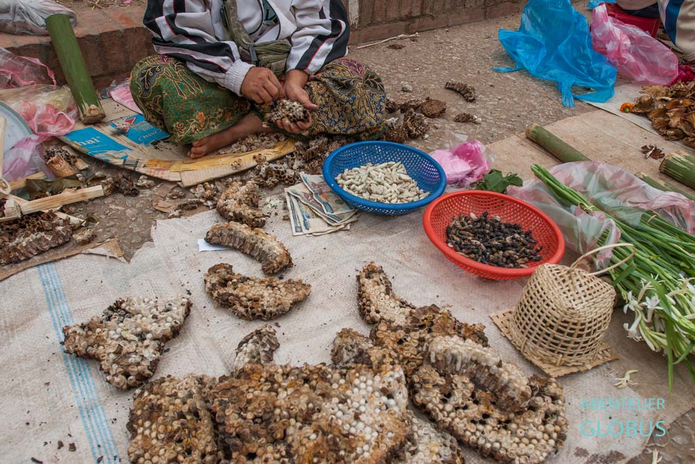 Waben mit Seidenraupen auf dem Morgenmarkt