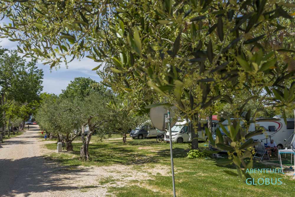 Campingplatz Autocamp Nordsee mit Stellplätzen unter Bäumen in Pakostane