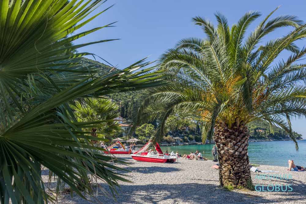 Kiesstrand Pozora mit Palmen in der Bucht von Trpanj auf der Halbinsel Peljesac in Kroatien
