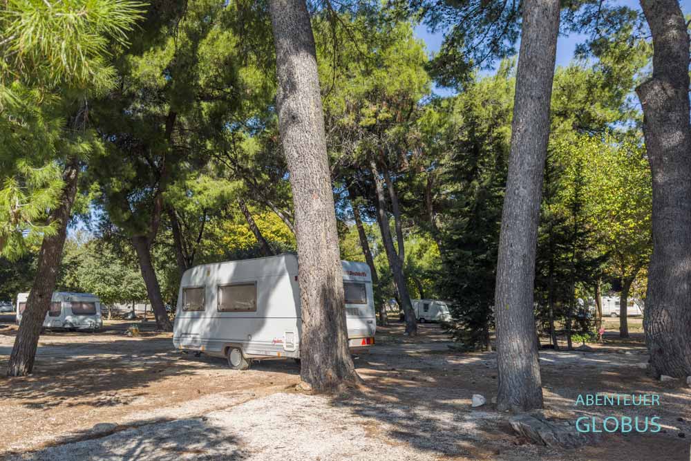 Camper und Wohnwagen im Kiefernwald vom Campingplatz Auto Kamp Dardin in Sveti Filip i Jakov