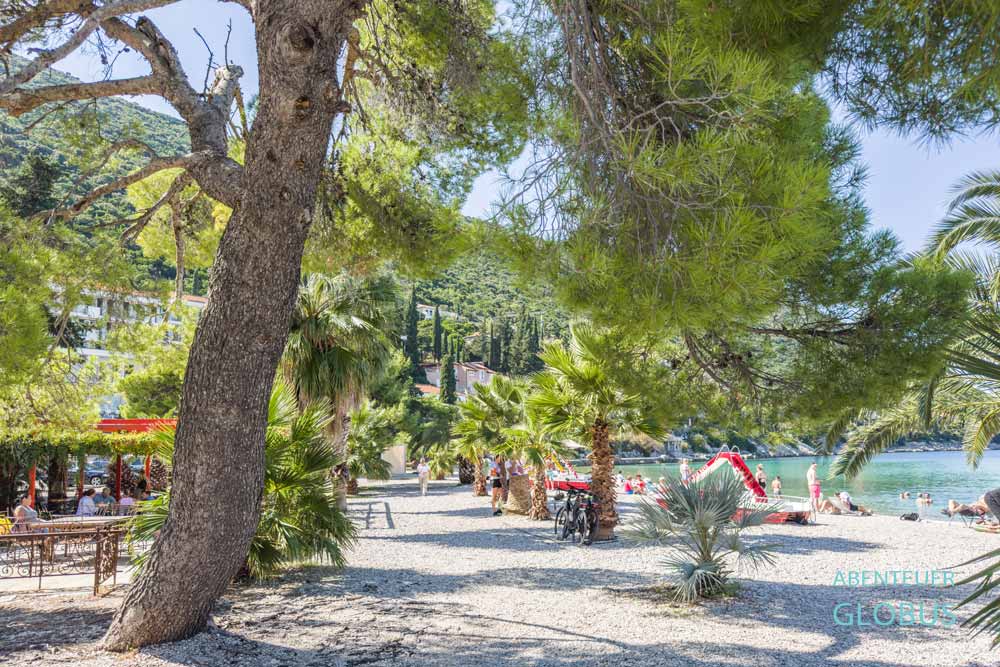 Touristen am Strand Pozora mit Kiefern in Trpanj