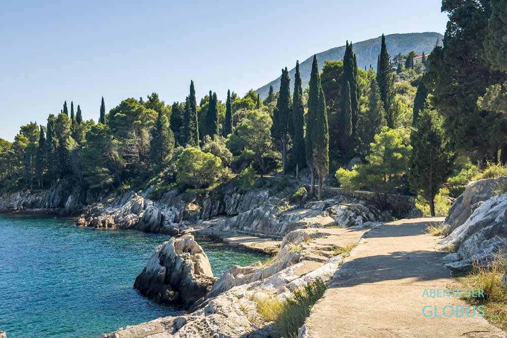 Promenade am Meer mit Pinien und Zypressen in Trpanj in Kroatien