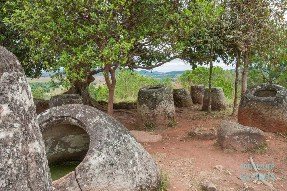 Mannshohe runde Steinkrüge unter Bäumen auf der Ebene der Tonkrüge in Phonsavan
