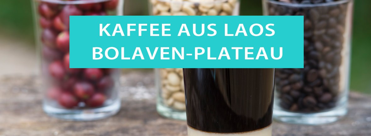 Kaffeeproduktion auf dem Bolaven-Plateau in Paksong, Laos